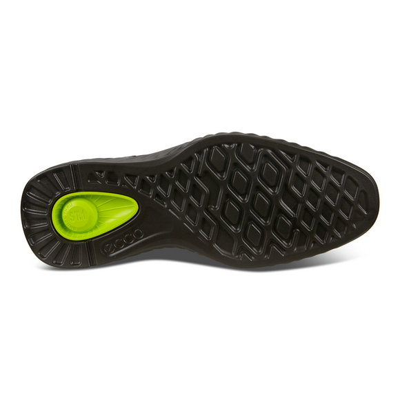 ECCO ST.1 Hybrid Lite Wingtip Brogue Shoes ECCO ST.1 Hybrid Lite Wingtip Brogue Shoes